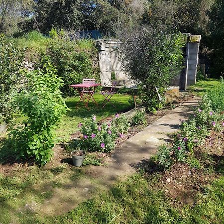 Cap Au Sud Sweet Home Nimes Luaran gambar