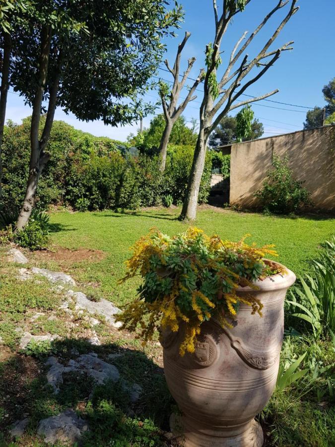Cap Au Sud Sweet Home Nimes Luaran gambar