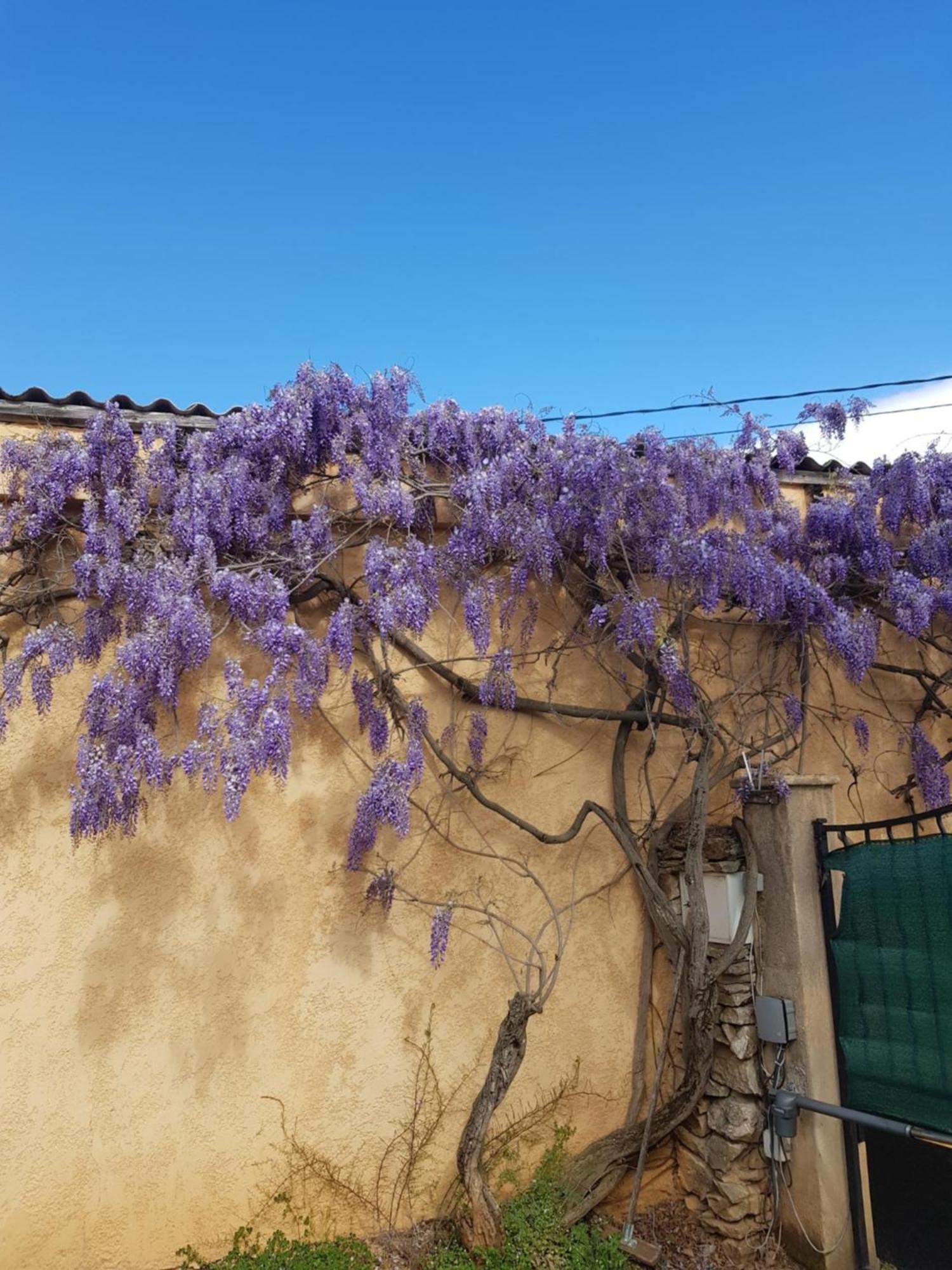 Cap Au Sud Sweet Home Nimes Luaran gambar