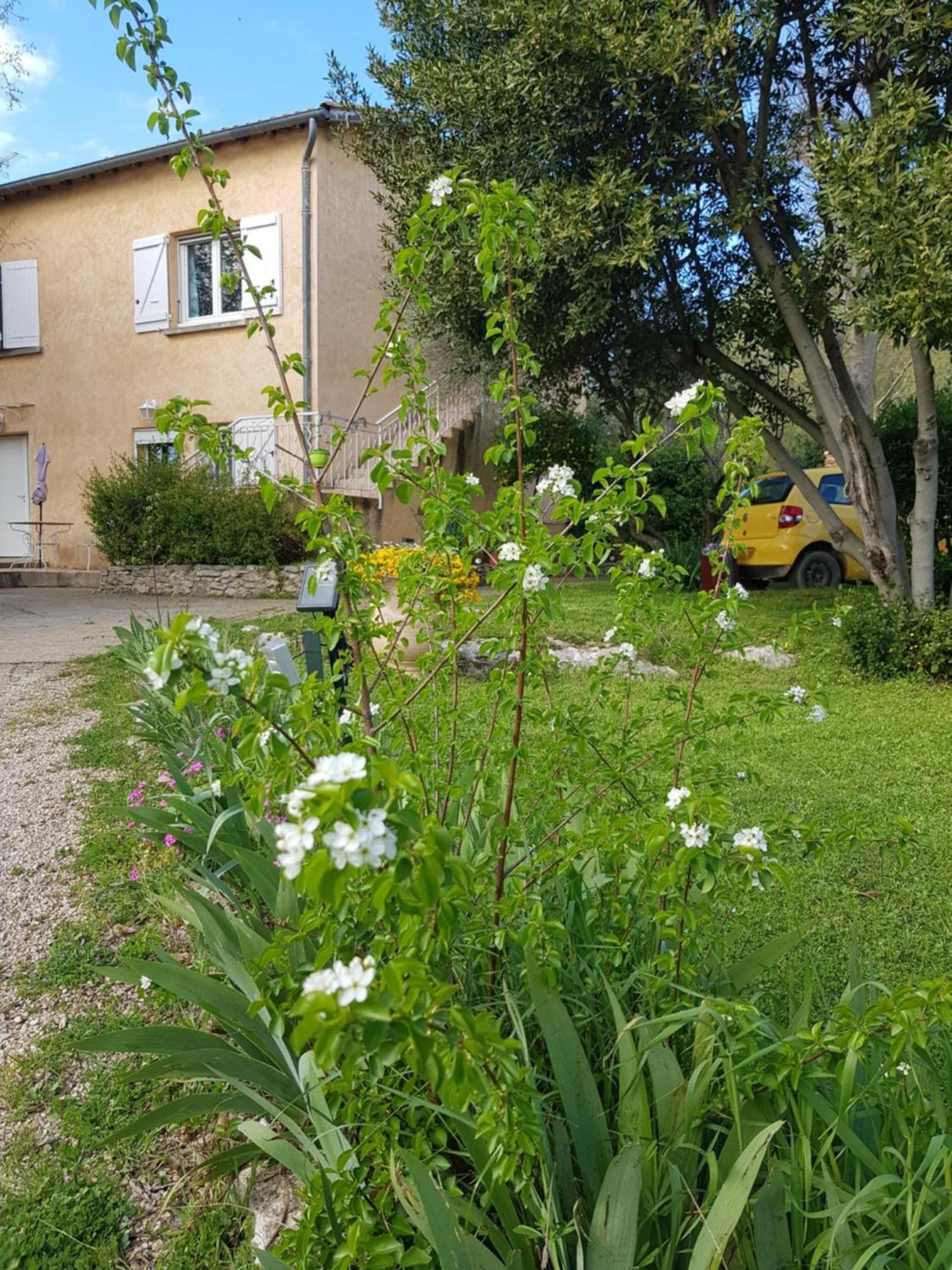 Cap Au Sud Sweet Home Nimes Luaran gambar