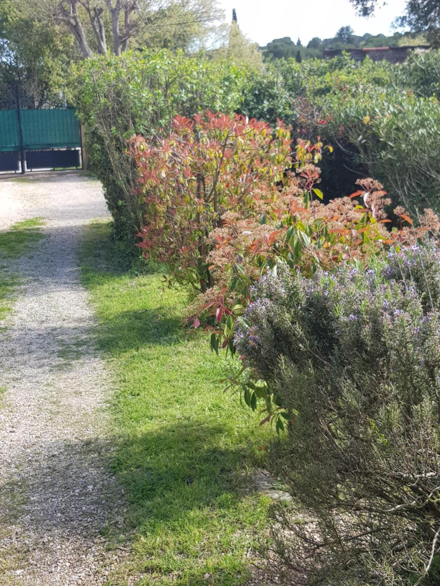 Cap Au Sud Sweet Home Nimes Luaran gambar