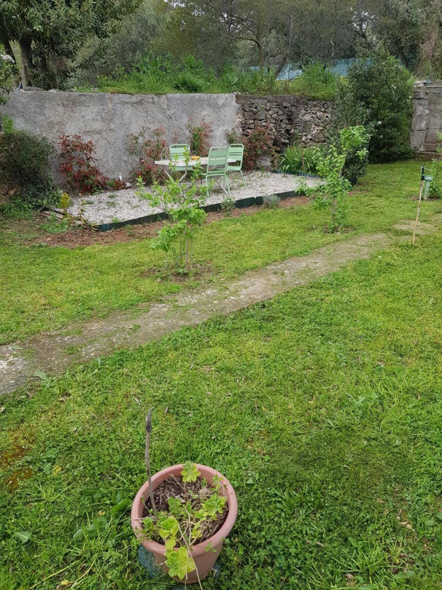 Cap Au Sud Sweet Home Nimes Luaran gambar