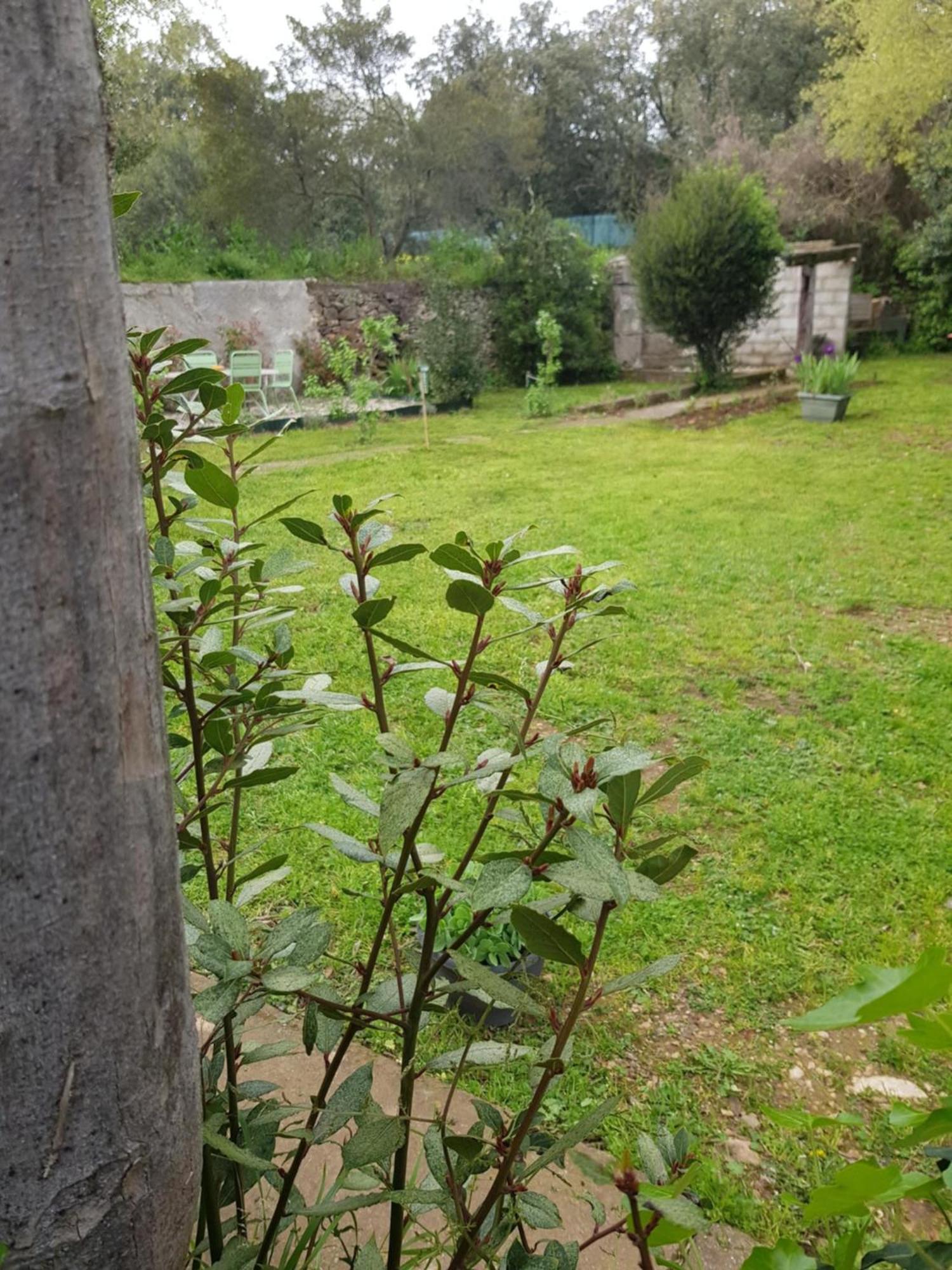 Cap Au Sud Sweet Home Nimes Luaran gambar