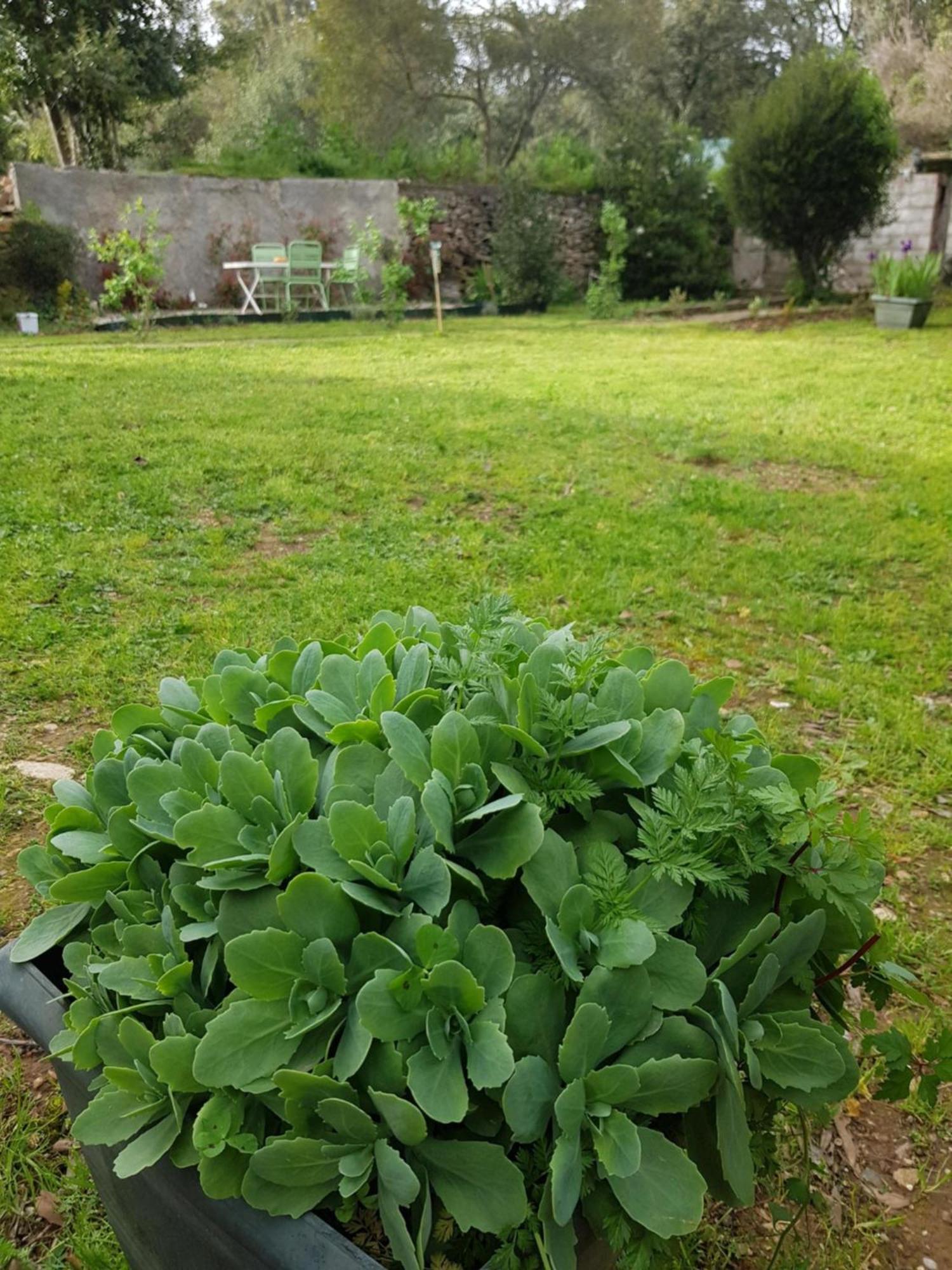 Cap Au Sud Sweet Home Nimes Luaran gambar