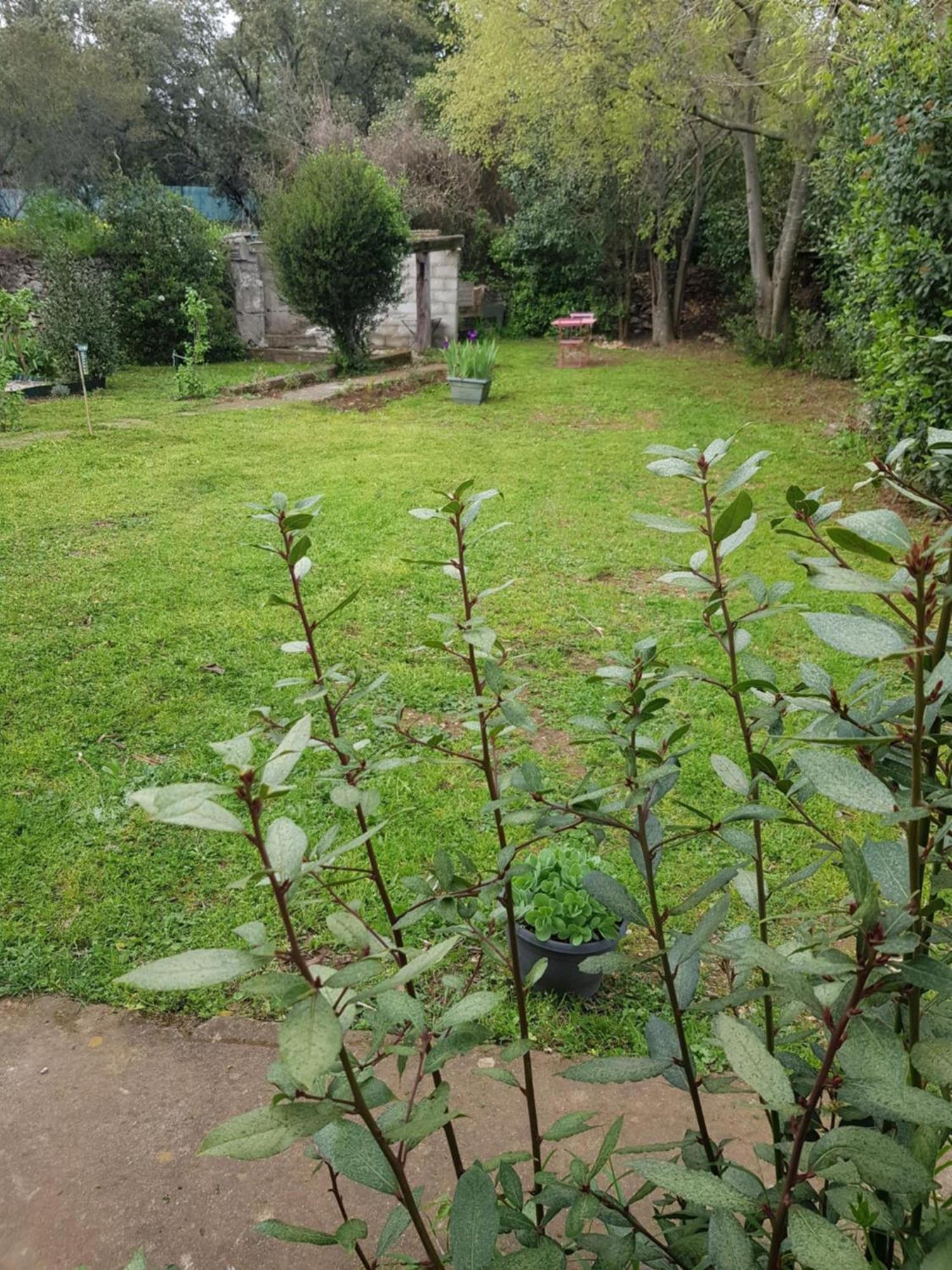 Cap Au Sud Sweet Home Nimes Luaran gambar