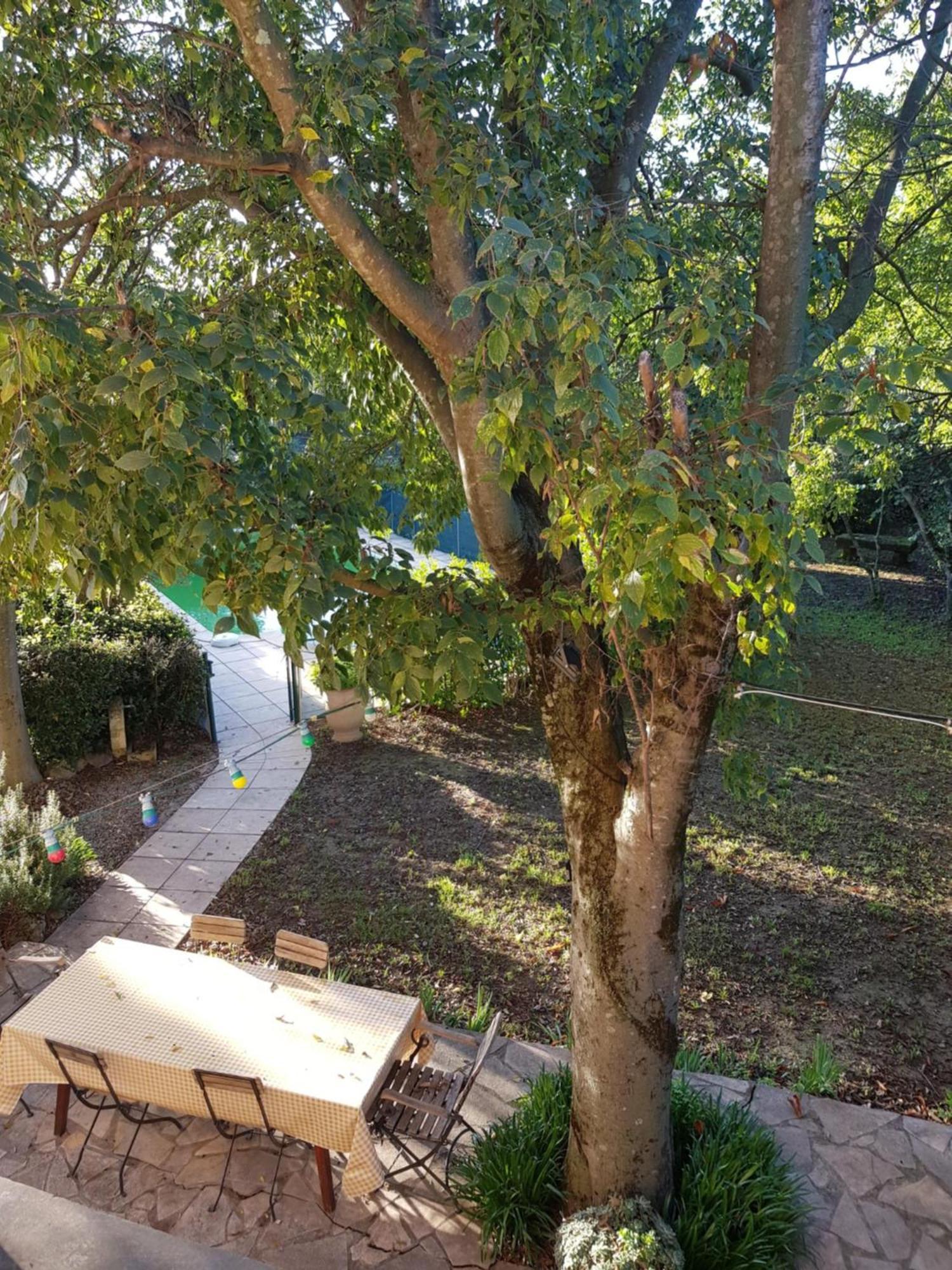 Cap Au Sud Sweet Home Nimes Luaran gambar